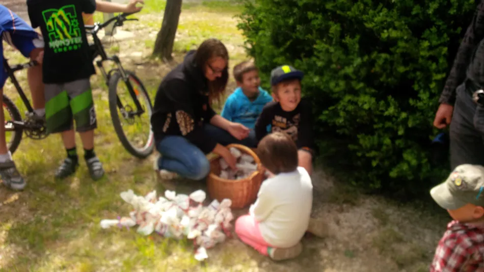 Camping Le Sous-Bois Ardèche