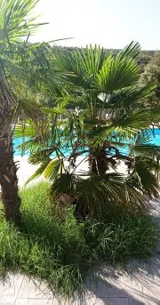 Camping Le Sous-Bois Ardèche