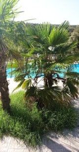 Foto #17 van Camping Le Sous-Bois Ardèche