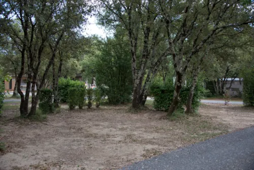 Emplacement - Forfait Emplacement + Véhicule - image n°3 - Camping Le Sous-Bois Ardèche