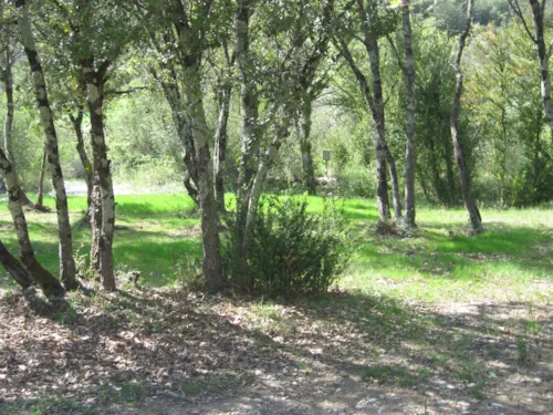 Emplacement - Forfait Emplacement + Véhicule - image n°4 - Camping Le Sous-Bois Ardèche
