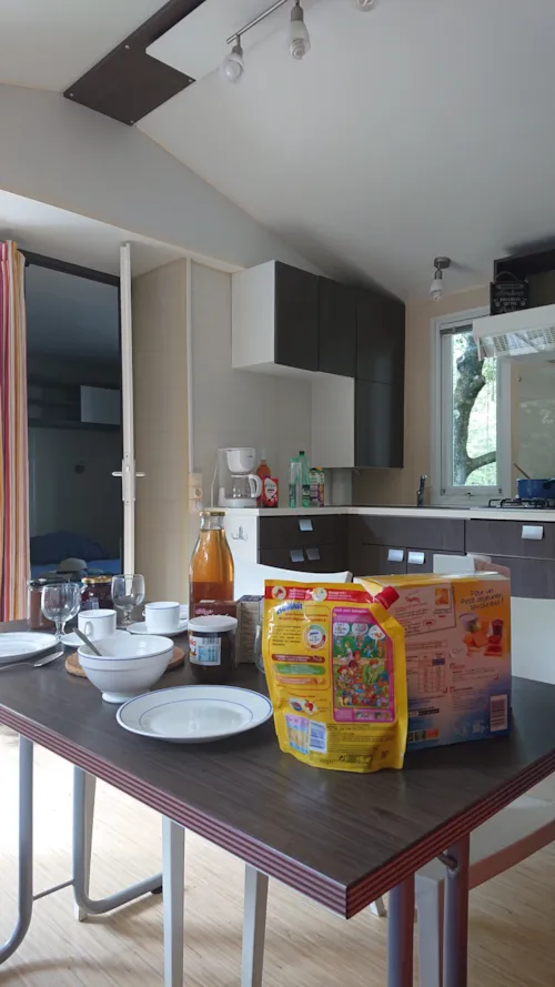 Location - Mobil Home Sous Bois 2 Chambres O'hara Sb 784Ti - image n°6 - Camping Le Sous-Bois Ardèche