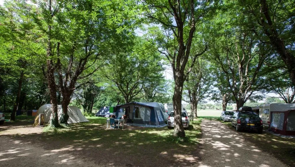 Emplacement - Emplacement Standard Avec Électricité + Voiture - Camping La Grand'Terre