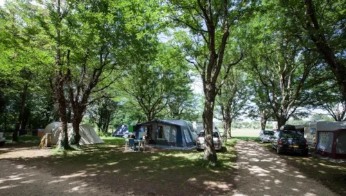 Kampeerplaats(en) - Standplaats Standard Met Elektriciteit + Auto - image n°1 - Camping La Grand'Terre