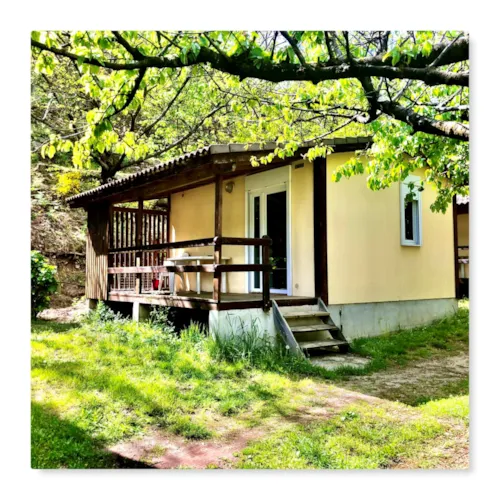 Huuraccommodatie(s) - Chalet - image n°3 - CAMPING LA DROBIE