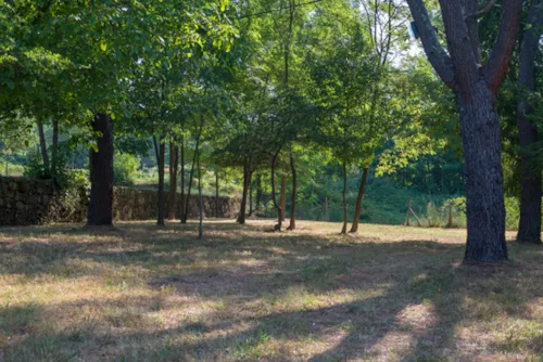 Emplacement - Emplacement Premium Tente - image n°6 - Ushuaïa Villages - Camping Les Cruses ***