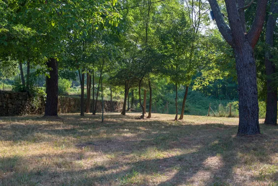 Emplacement Premium Tente