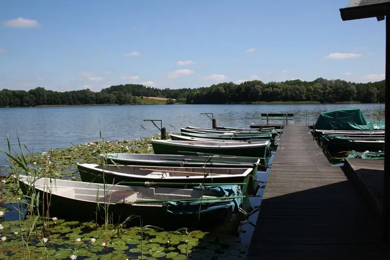 Komfortcamp KlüthseeCamp und Naturcamp Seeblick - image n°39 - UniversalBooking