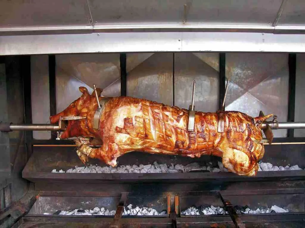 Komfortcamp KlüthseeCamp und Naturcamp Seeblick - image n°12 - UniversalBooking