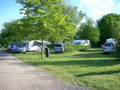 Komfortcamp KlüthseeCamp und Naturcamp Seeblick