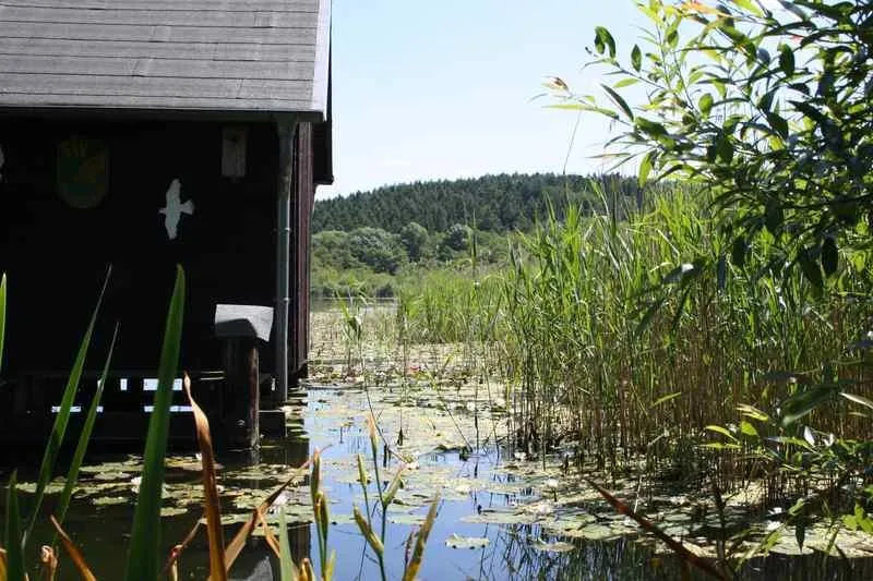 Komfortcamp KlüthseeCamp und Naturcamp Seeblick - image n°41 - UniversalBooking