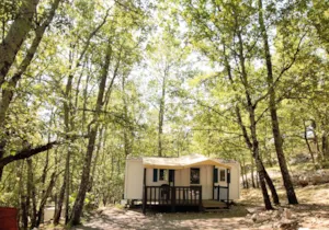 Locatif - Oak Mobile Home - Camping les Blaches Locations