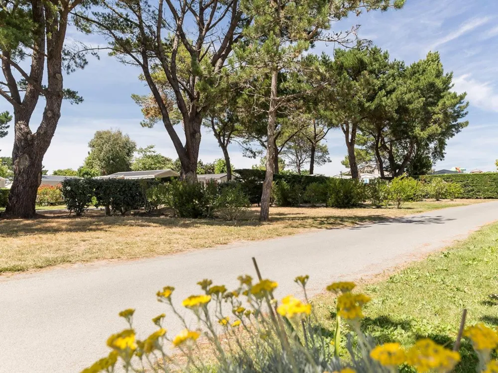 Emplacement - Forfait *** - YELLOH! VILLAGE - LE CHAPONNET