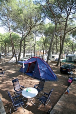 Kampeerplaats(en) - Standplaats Standard Tent : Auto + Tent + Elektriciteit - Interpals Eco Resort