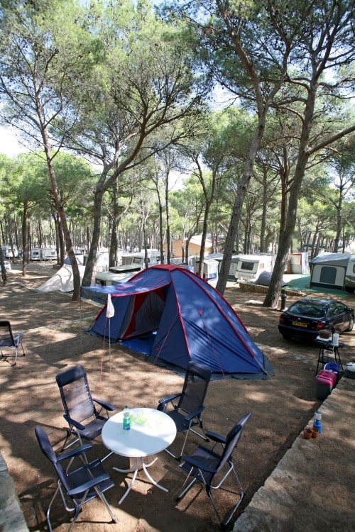 Emplacement Standard Tente (40-55M2): Voiture + Tente + Électricité