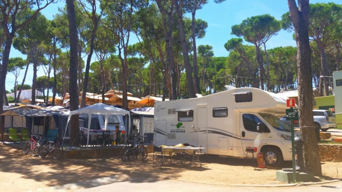 Emplacement Standard Basic (45-60M2) : Voiture + Caravane Ou Camping-Car Ou Tente + Électricité