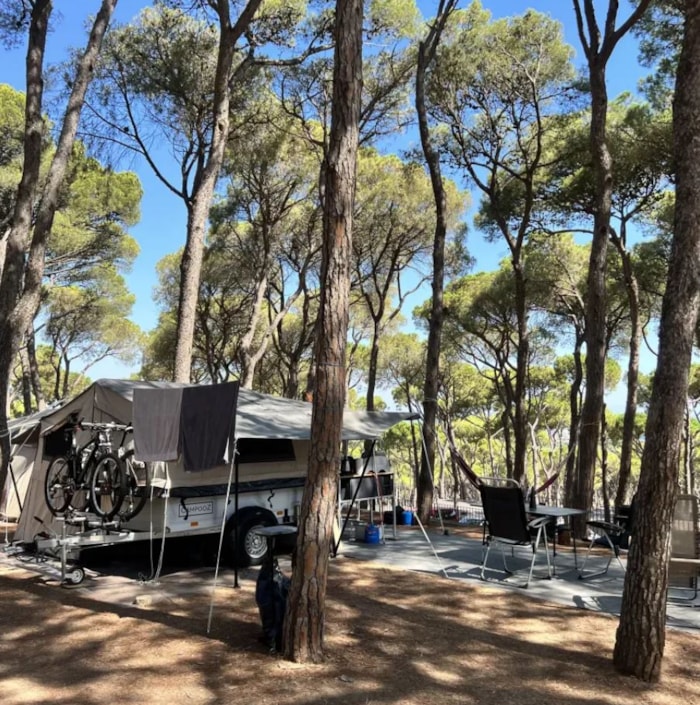 Emplacement Standard Tente (40-55M2): Voiture + Tente + Électricité