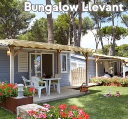 Alojamiento - Bungalow Llevant - Interpals Eco Resort