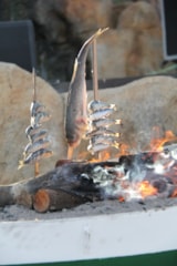 Foto #56 van Interpals Eco Resort