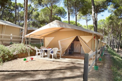 Canada Tent — 3