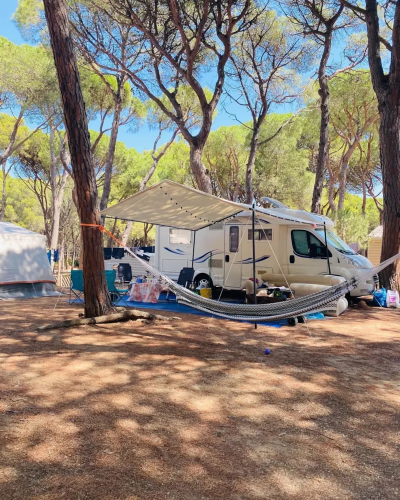 Emplacement Standard Confort (60-75M2) : Voiture + Caravane Ou Camping-Car Ou Tente + Électricité