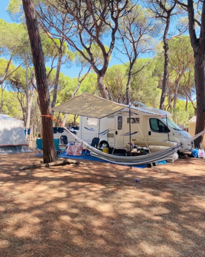 Pitch Standard Confort (60-75m2) : car + caravan or camping-car  or tent + electricity — 3