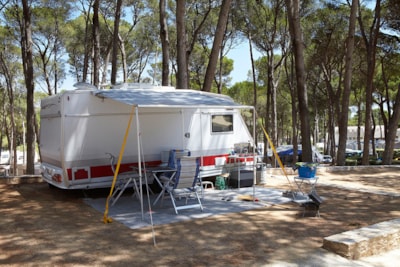 Pitch Standard Confort (60-75m2) : car + caravan or camping-car  or tent + electricity — 4