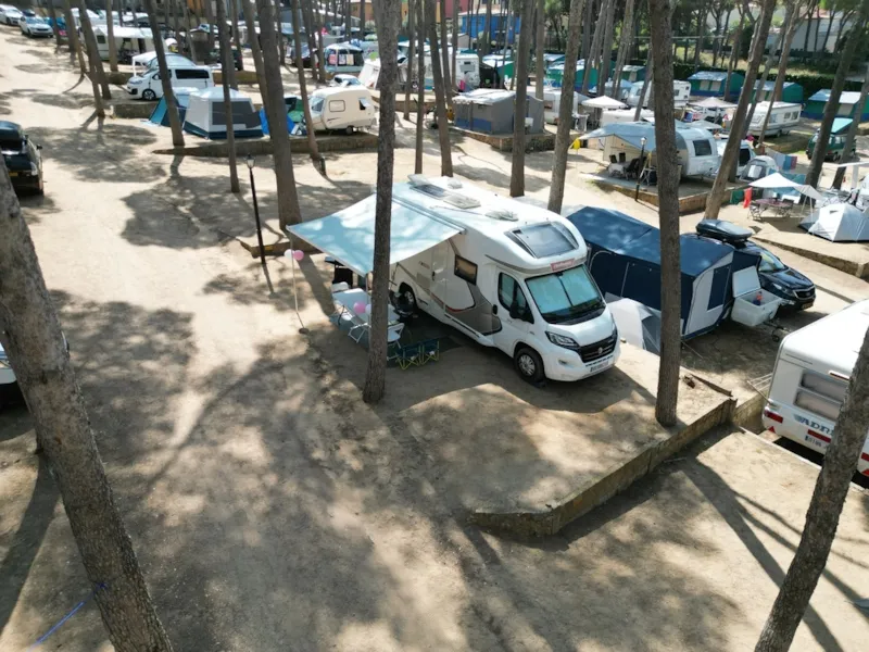 Emplacement Standard Basic (45-60M2) : Voiture + Caravane Ou Camping-Car Ou Tente + Électricité