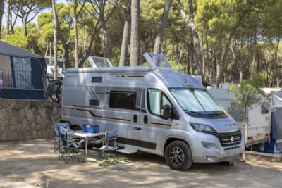 Pitch Standard Basic (45-60m2) : car + caravan or camping-car  or tent + electricity — 1