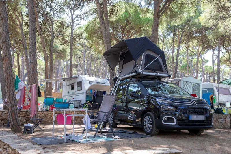 Emplacement Standard Basic (45-60M2) : Voiture + Caravane Ou Camping-Car Ou Tente + Électricité