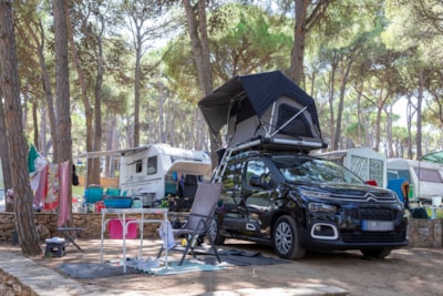 Pitch Standard Basic (45-60m2) : car + caravan or camping-car  or tent + electricity — 3
