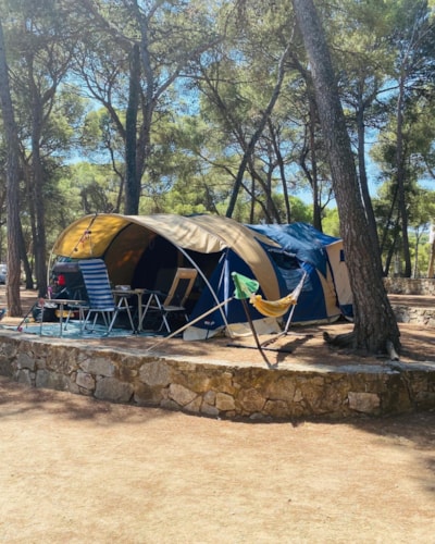 Pitch Standard Tent (40-55m2): car + tent + electricity — 3