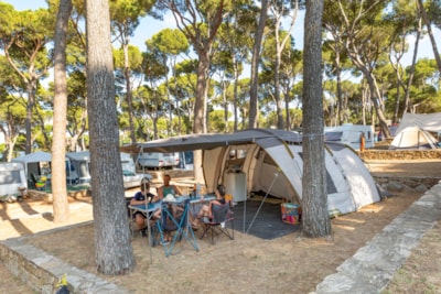 Pitch Standard Tent (40-55m2): car + tent + electricity — 1