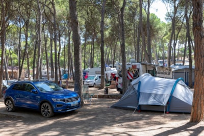 Pitch Standard Tent (40-55m2): car + tent + electricity — 4