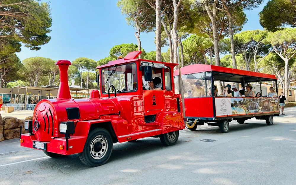 Interpals Eco Resort