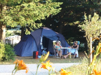 Pitch + tent or caravan