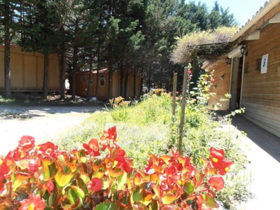 Chalet Confort (2 bedrooms/kitchen/WC shower)