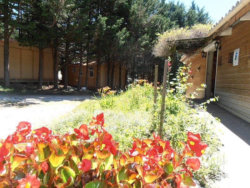 Camping Le Matin Calme — Photo 3