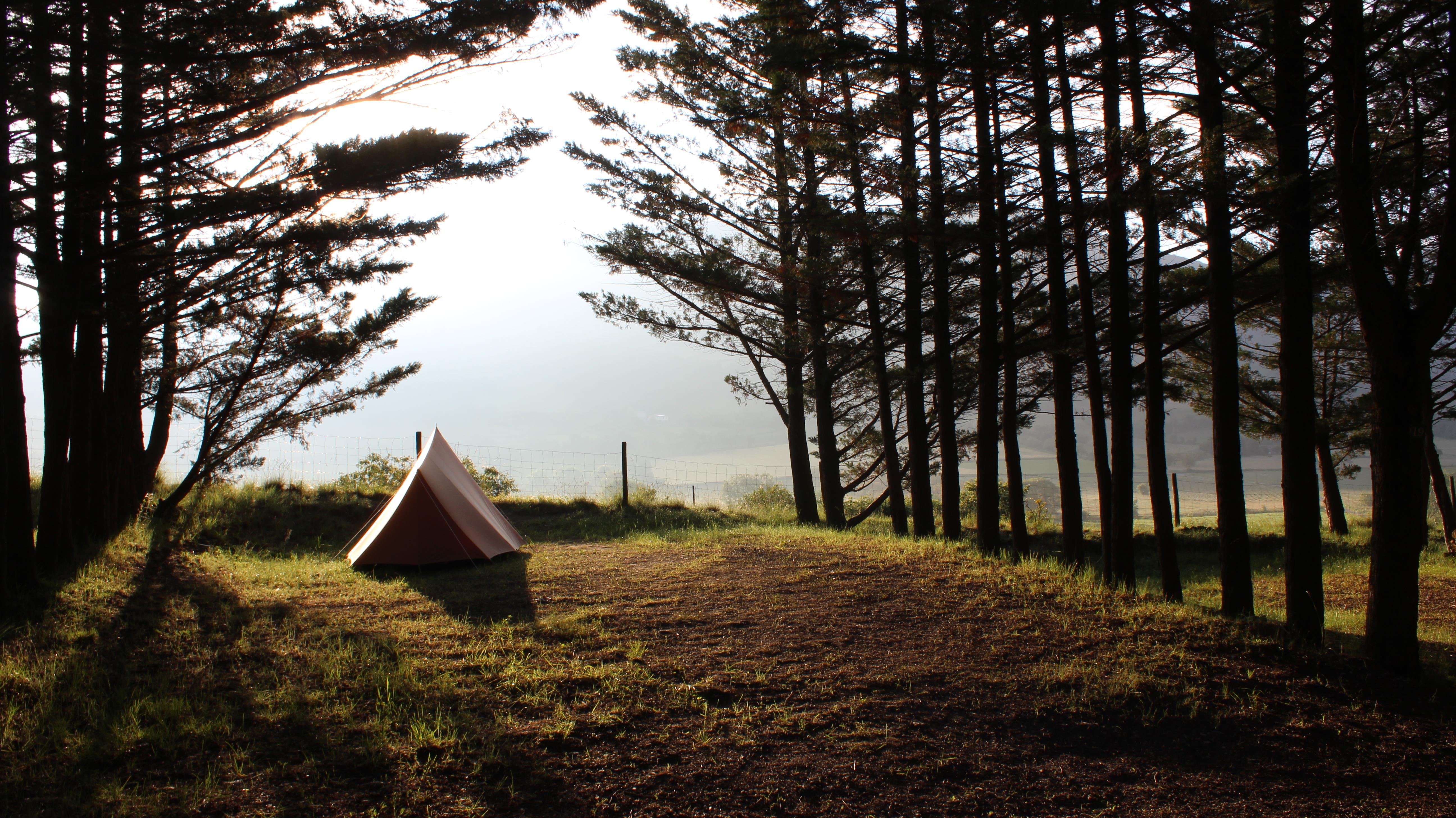 Kampeerplaats - Kampeerplaats + Tent Og Caravan - Camping Le Matin Calme