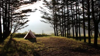 Stellplatz - Stellplatz + Wagen + Zelt Oder Wohnwagen - Camping Le Matin Calme