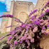 Foto #25 van Camping Le Matin Calme