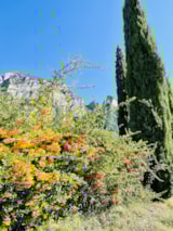 Foto #32 van Camping Le Matin Calme