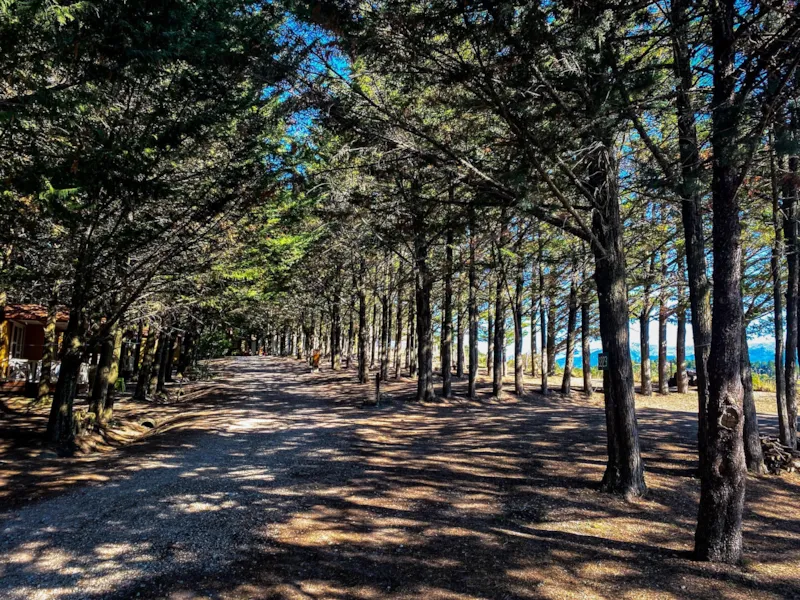 Emplacement + 1 Tente Ou Caravane