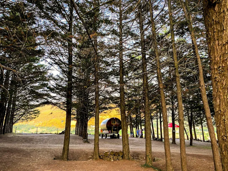 Emplacement + 1 Tente Ou Caravane