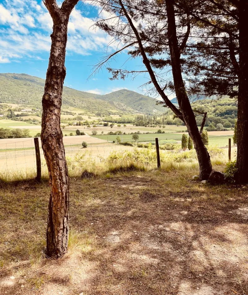 Emplacement + 1 Tente Ou Caravane