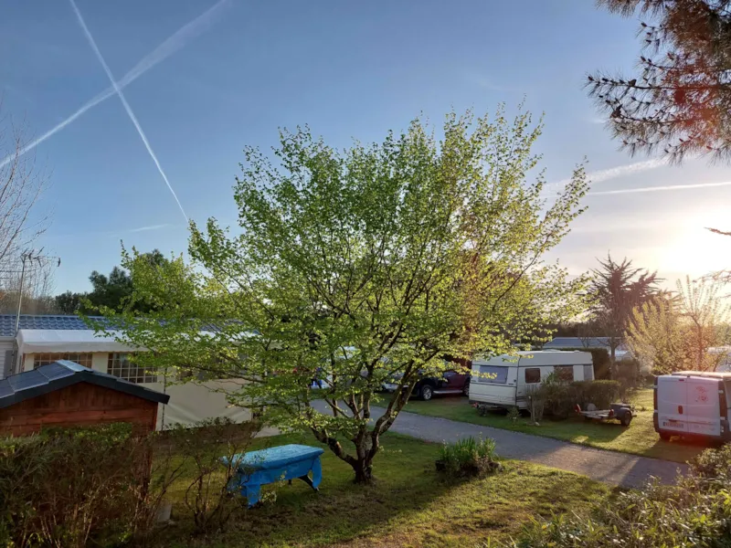 Emplacement Et Véhicule (À La Nuitée)