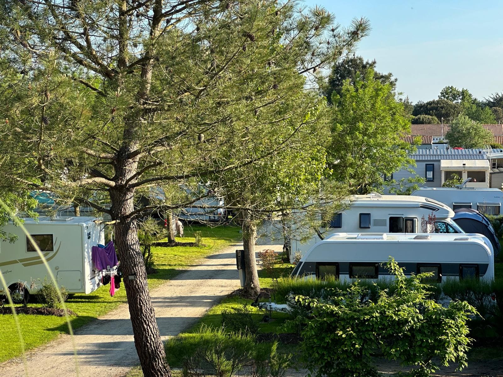 Kampeerplaats + Voertuig (per nacht)