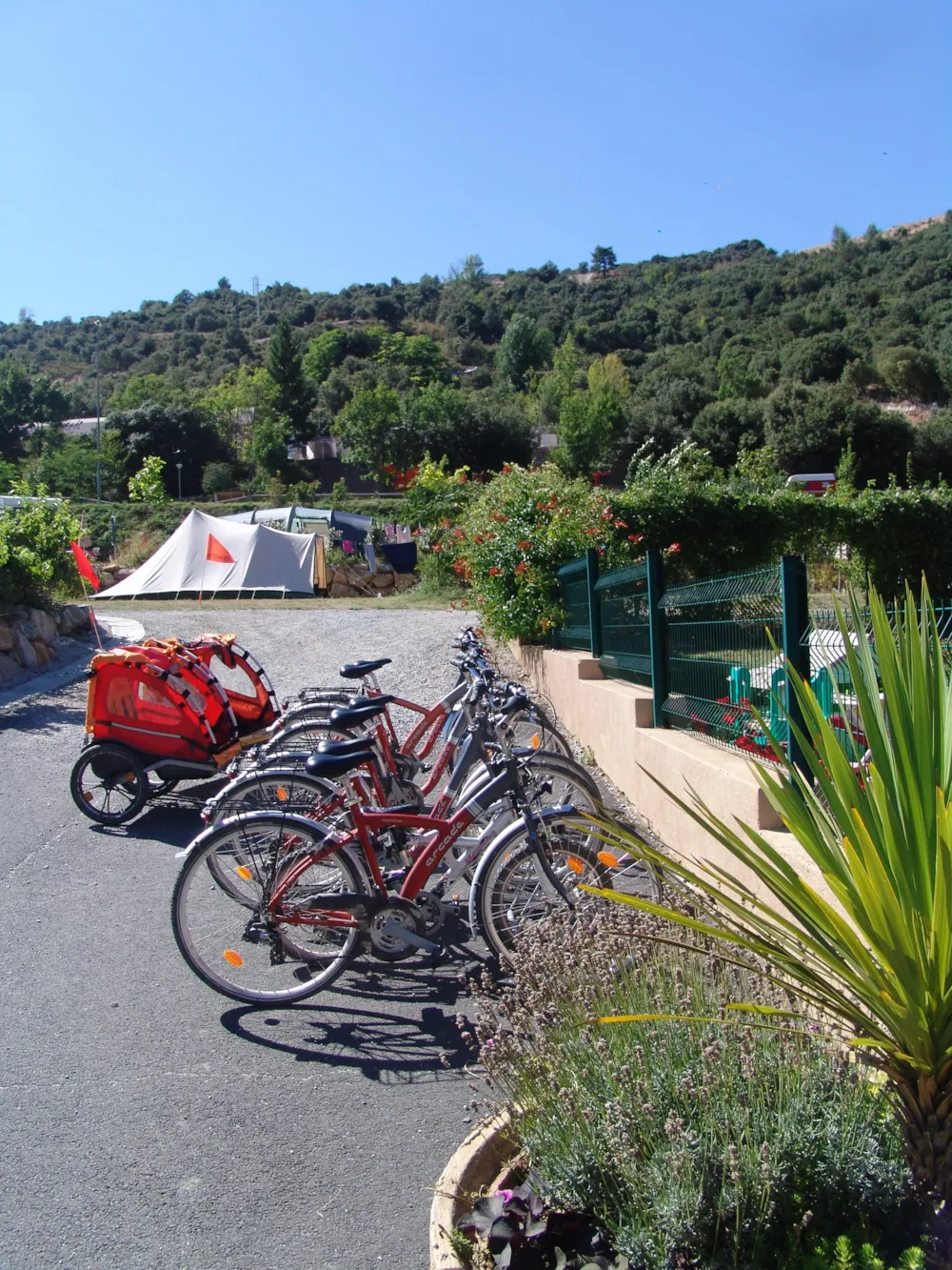 Camping Les Cerisiers du Jaur