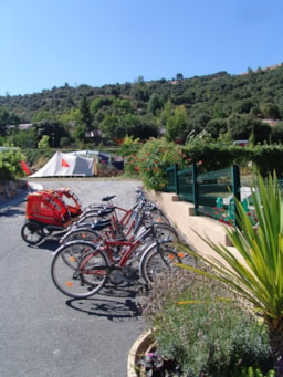 Services & amenities Camping Les Cerisiers du Jaur - Saint Pons De Thomières