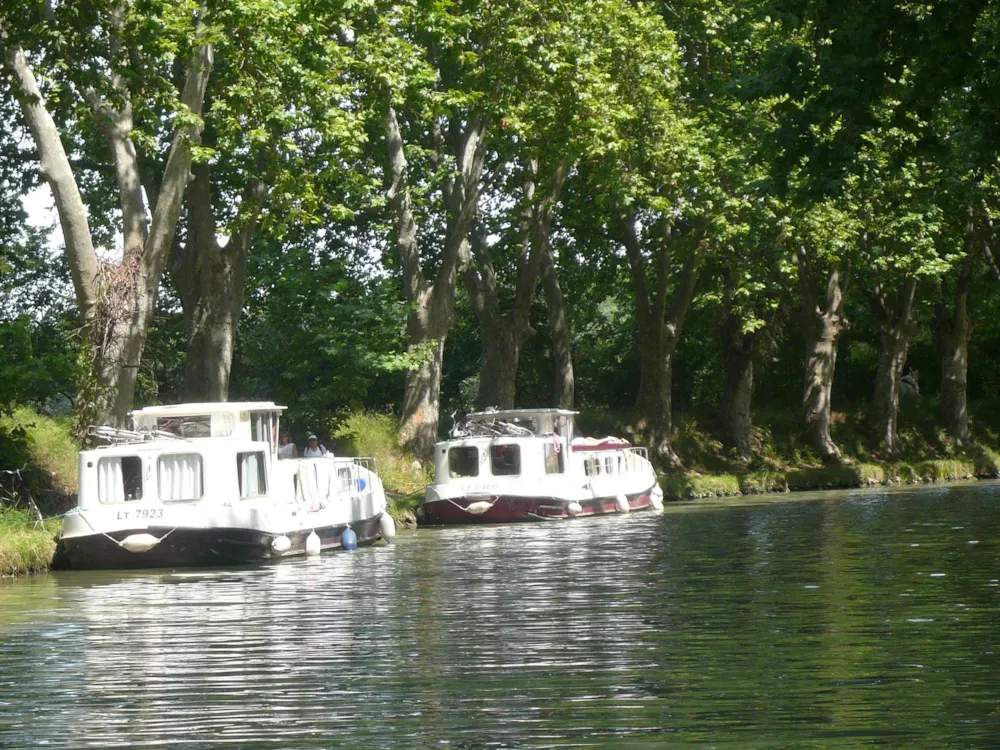 Camping Les Cerisiers du Jaur